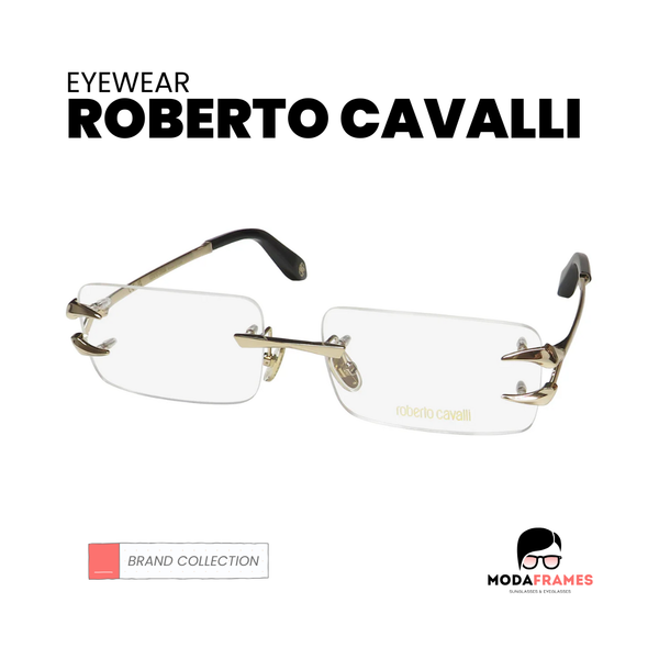Roberto Cavalli Logo - ModaFrames