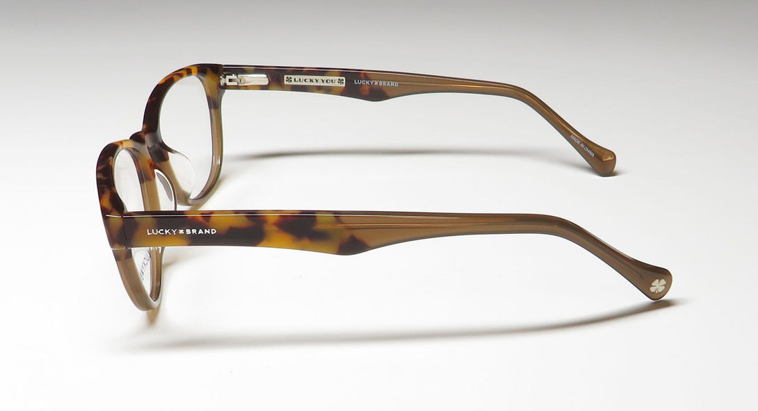 Color_tortoise / brown
