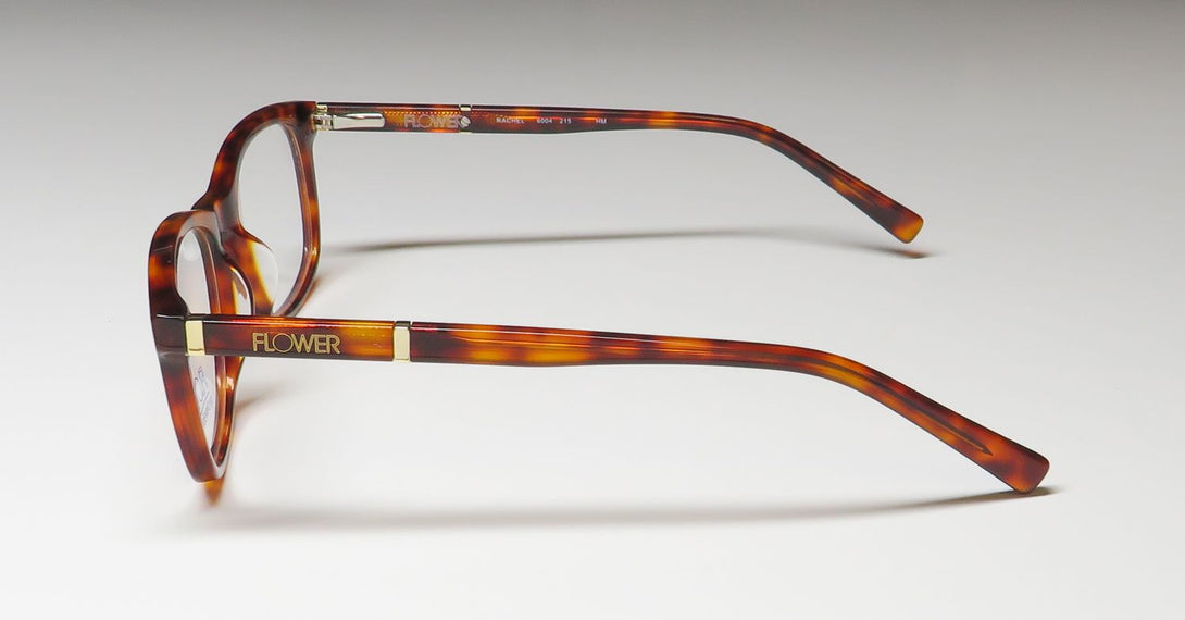Color_tortoise