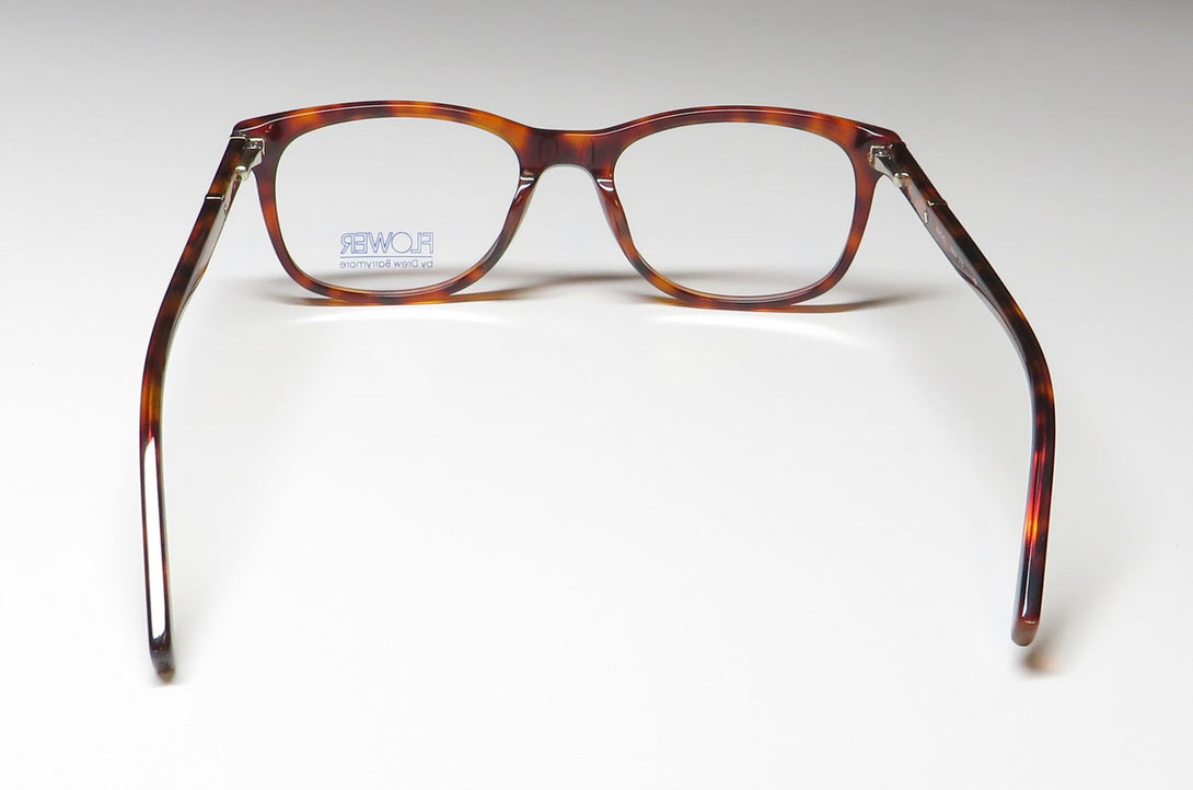 Color_tortoise