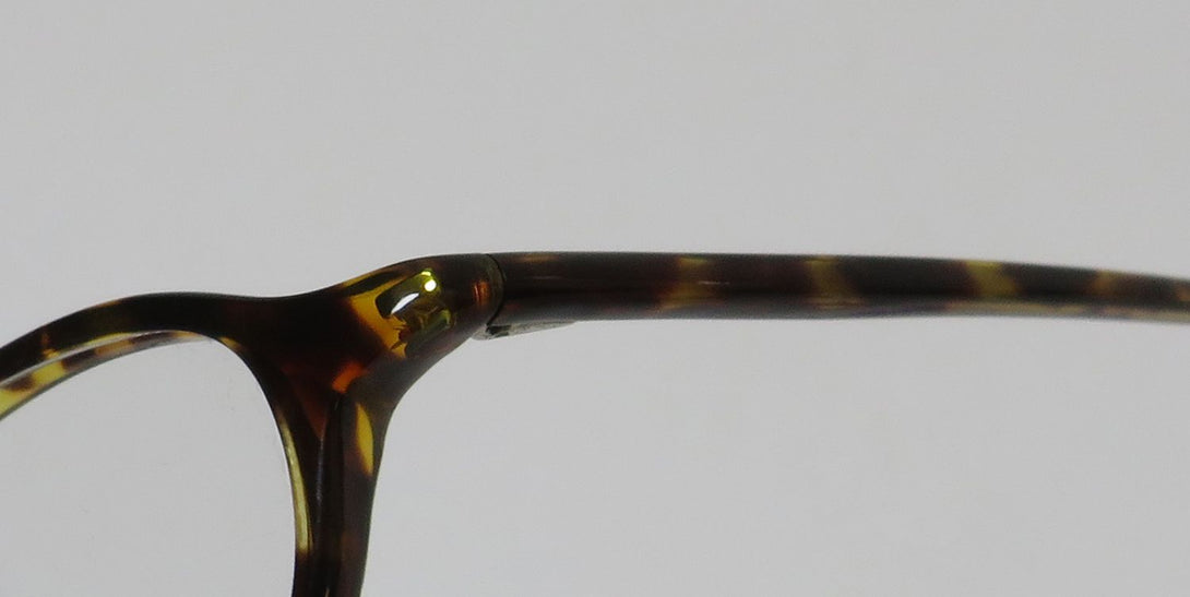 Color_tortoise