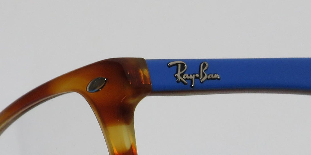 Color_polished tortoise