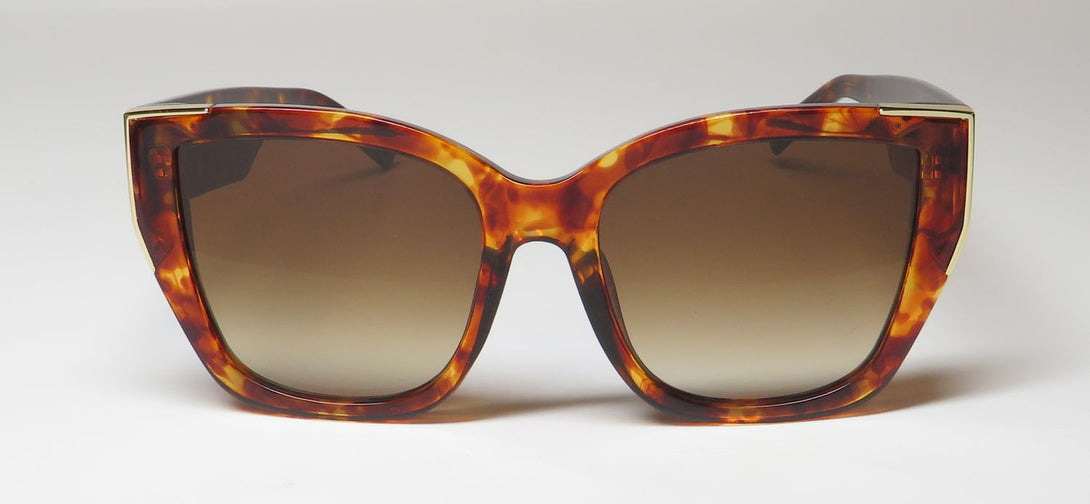 Color_tortoise