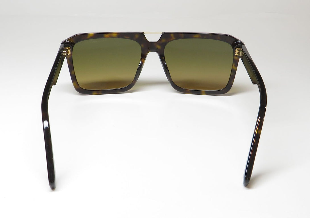 Color_tortoise