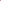 Color_tortoise / pink
