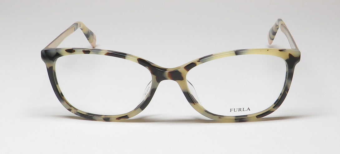 Color_tortoise
