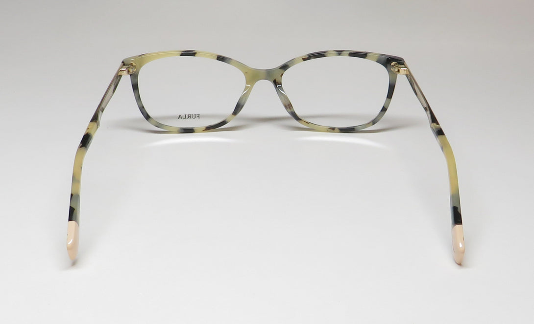 Color_tortoise