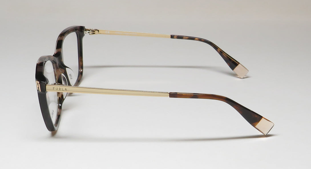 Color_tortoise
