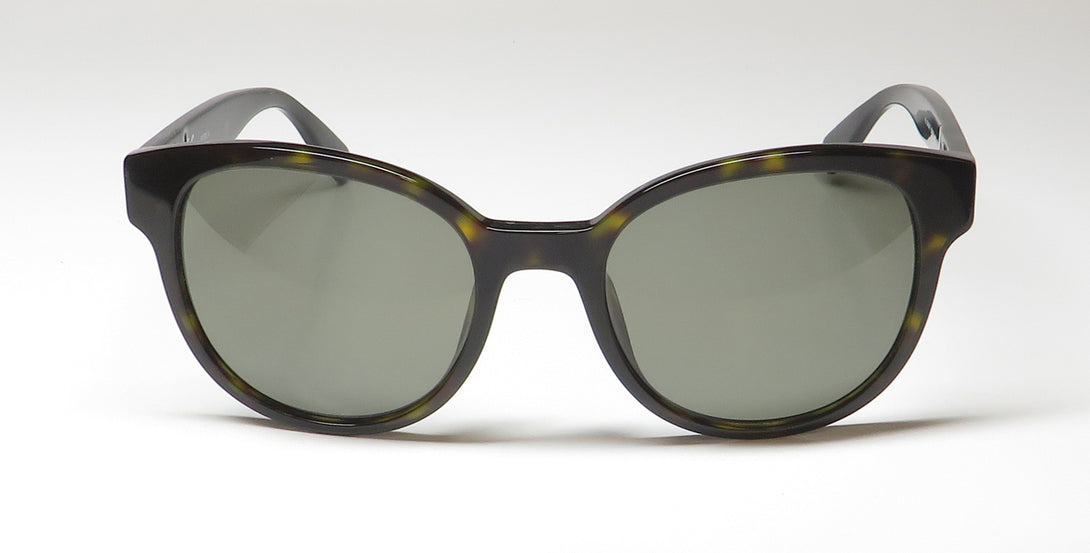 Color_tortoise