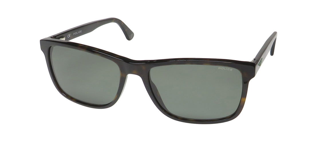 Color_tortoise