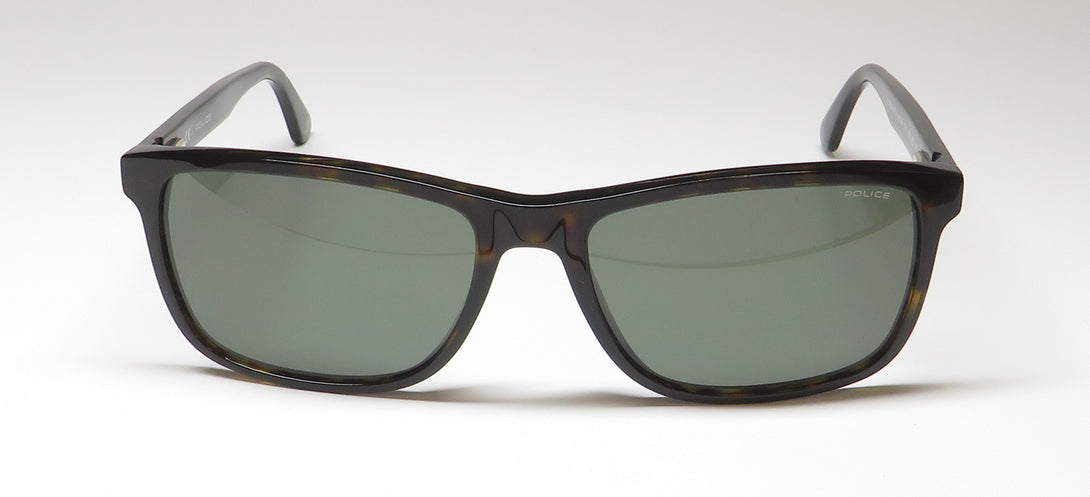 Color_tortoise
