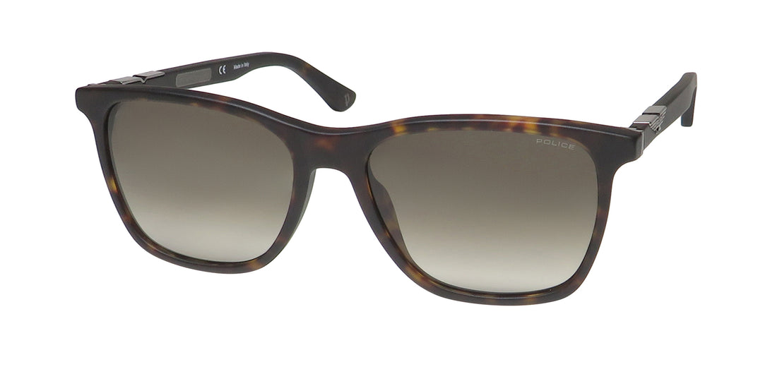 Color_tortoise