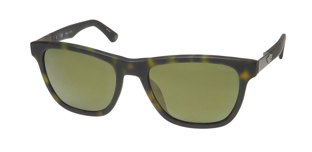 Color_tortoise