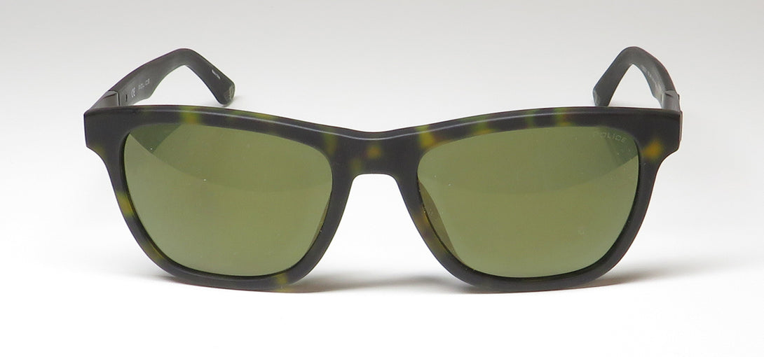 Color_tortoise
