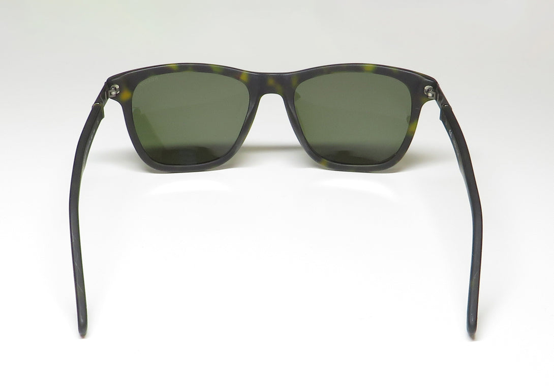 Color_tortoise