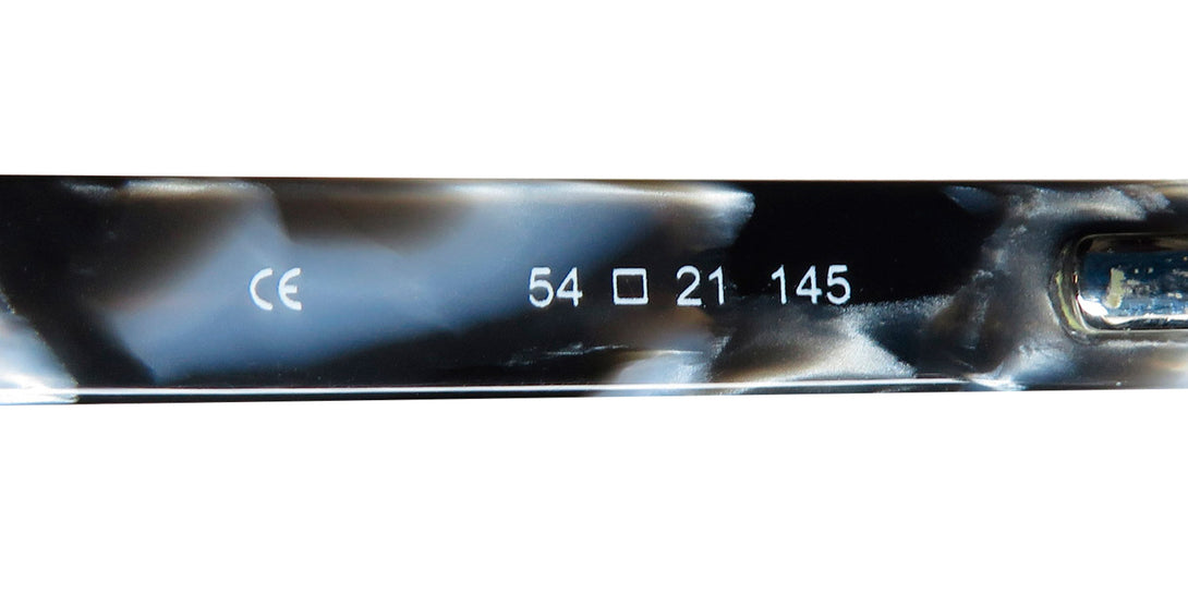 Color_shiny black / shiny gold