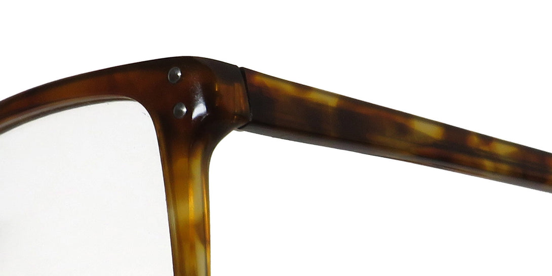 Color_amber tortoise