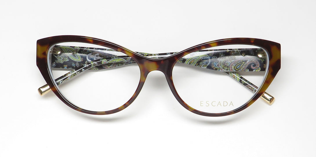 Color_tortoise