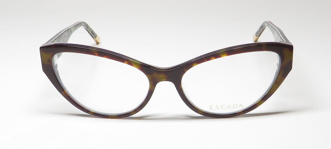 Color_tortoise