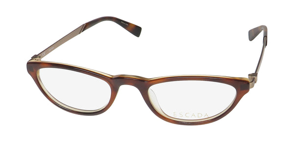 Color_tortoise