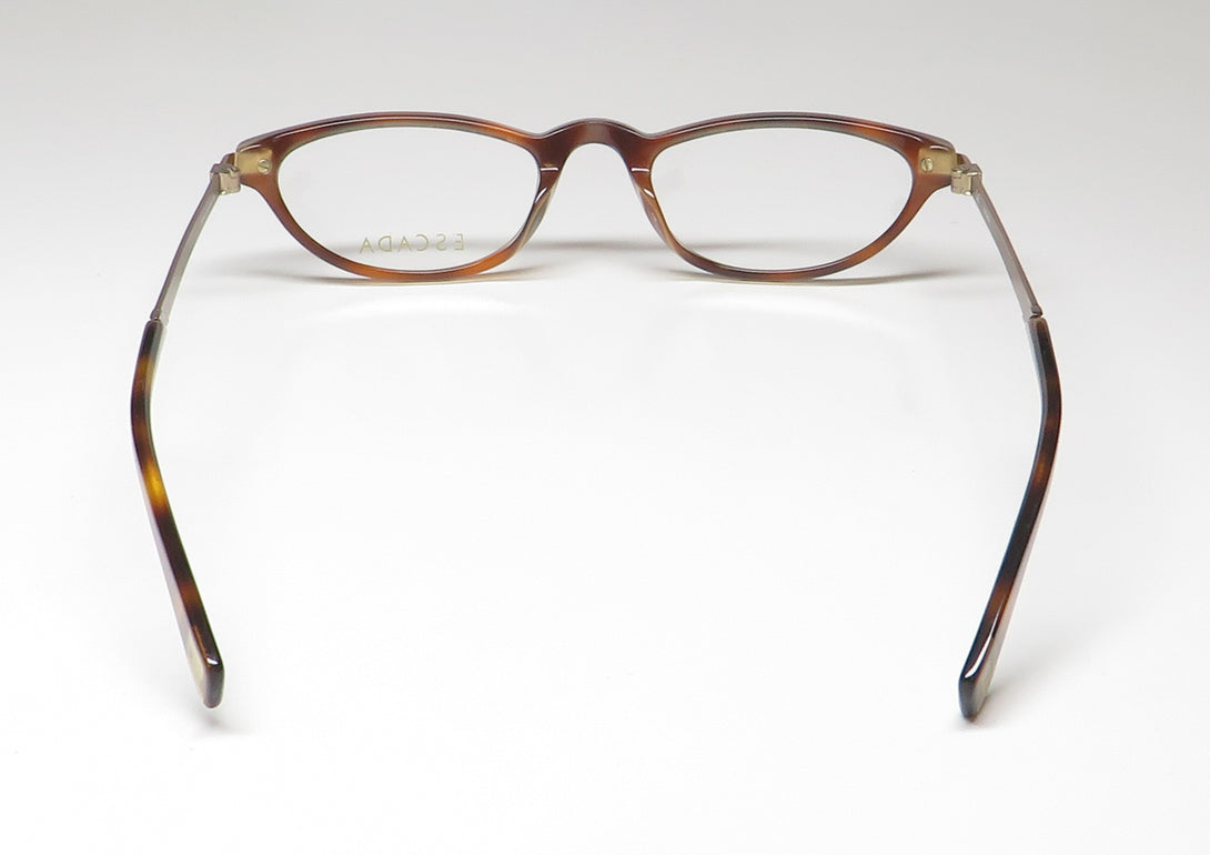 Color_tortoise