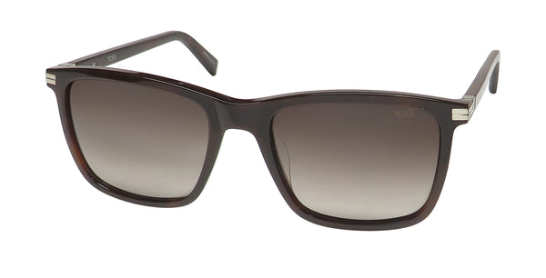 Color_tortoise