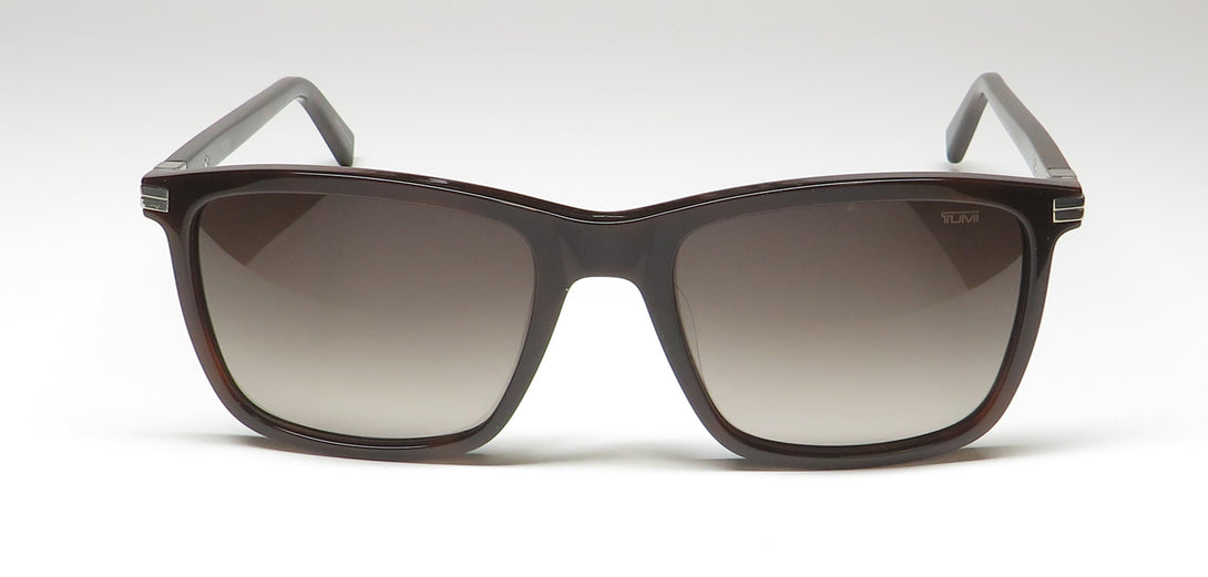 Color_tortoise