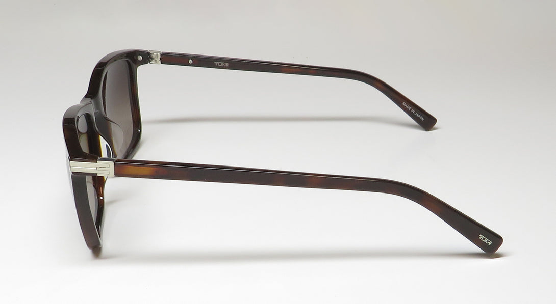 Color_tortoise