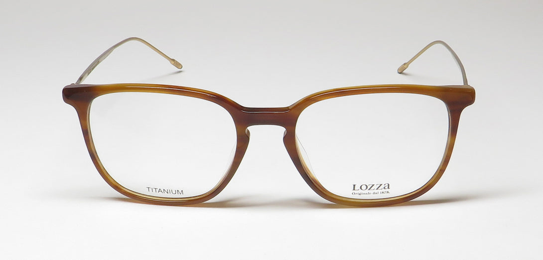 Color_tortoise