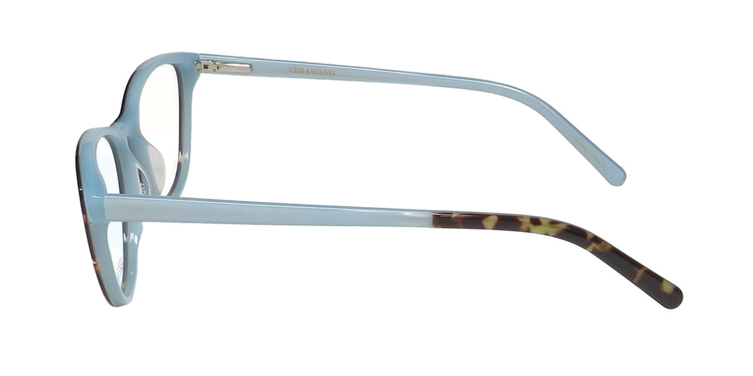 Color_tortoise / blue