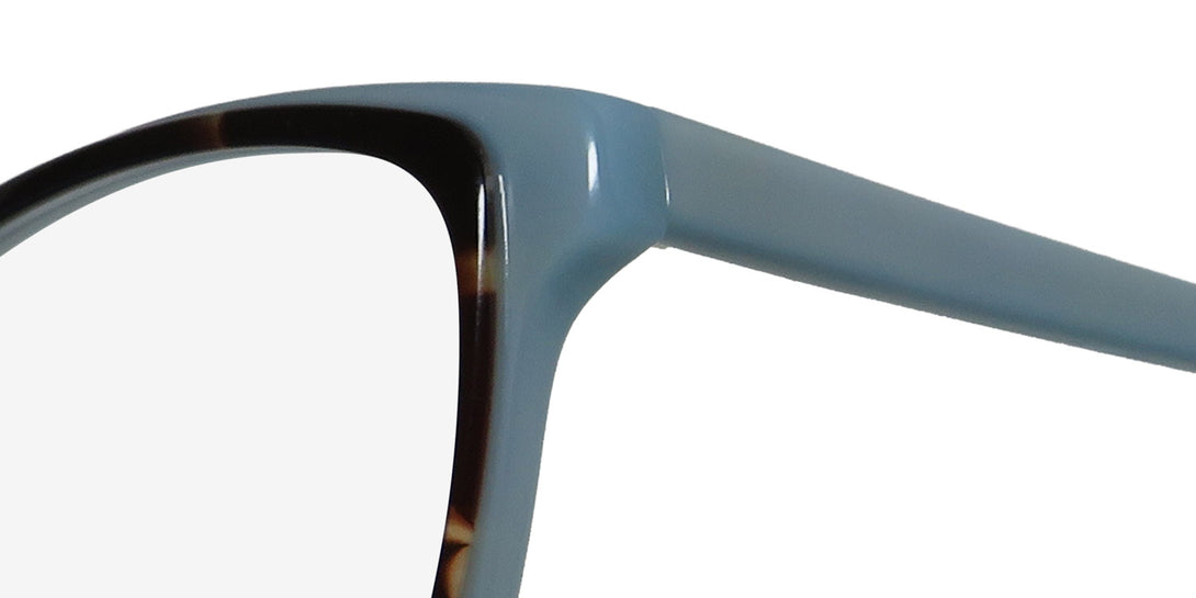 Color_tortoise / blue