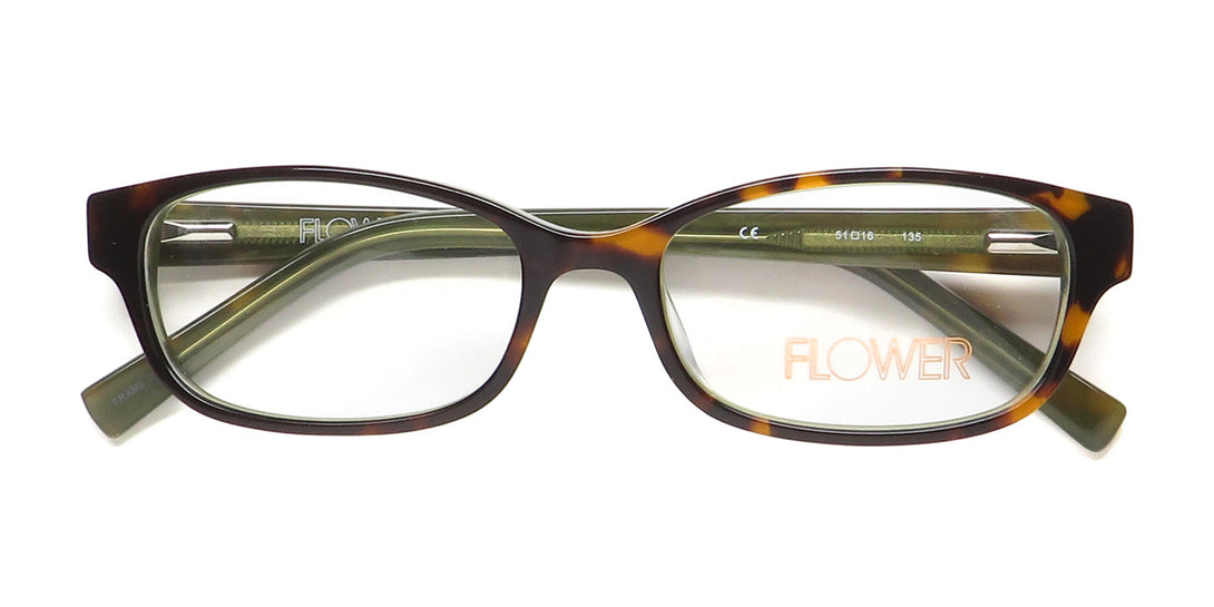 Color_tortoise / green