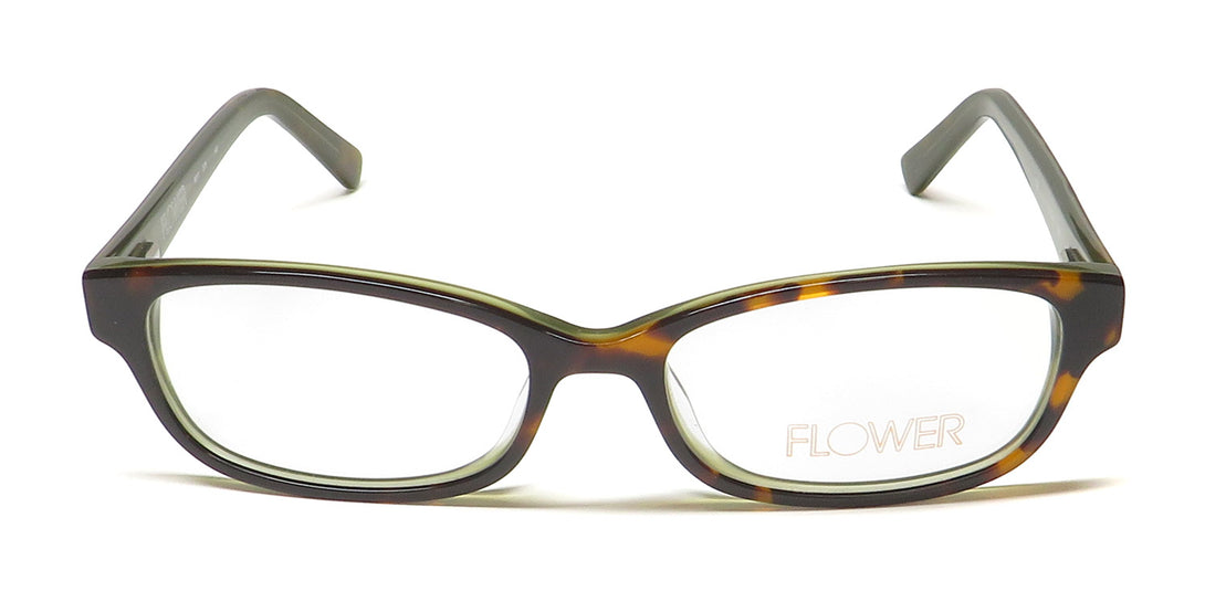 Color_tortoise / green