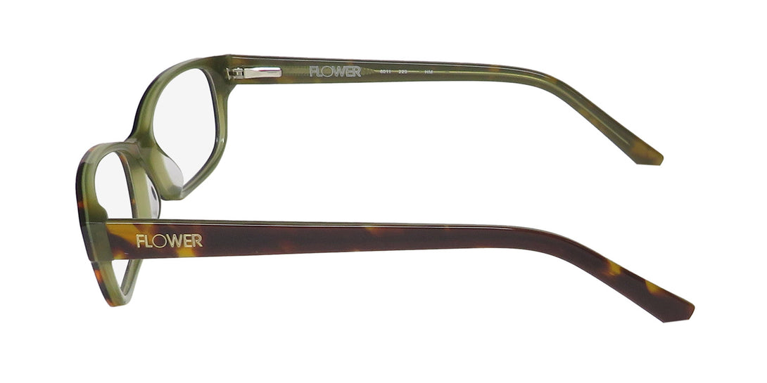 Color_tortoise / green