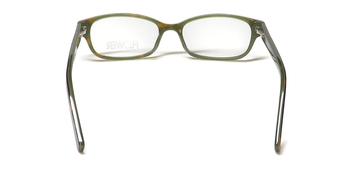 Color_tortoise / green