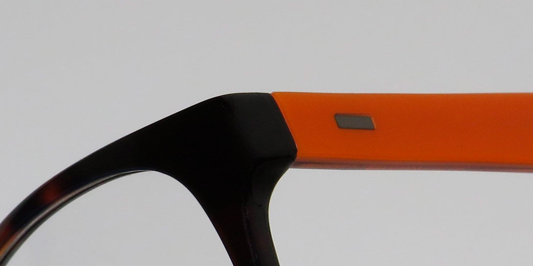 Color_tortoise / orange