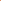 Color_tortoise / orange