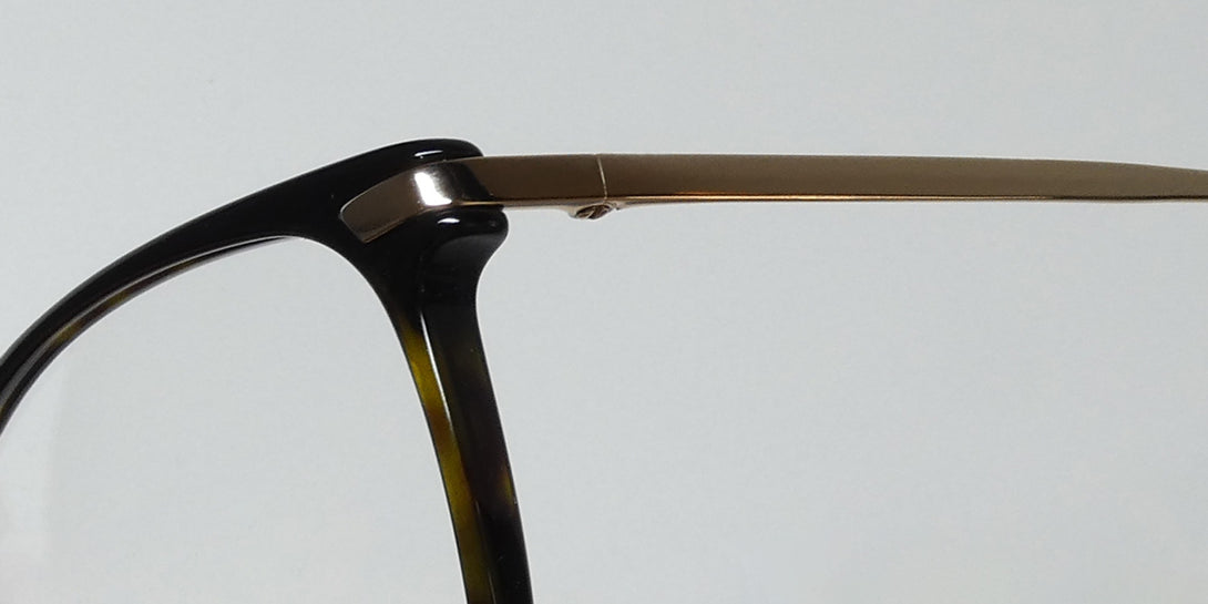Color_tortoise / gold
