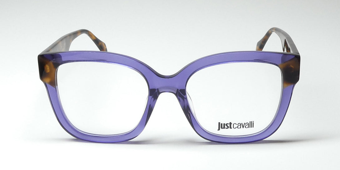 Color_shiny transparent violet