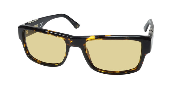 Color_tortoise
