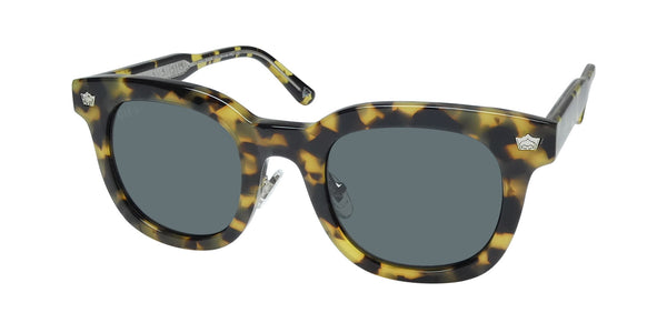 Color_tortoise