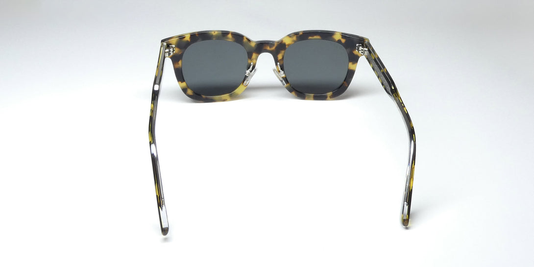 Color_tortoise