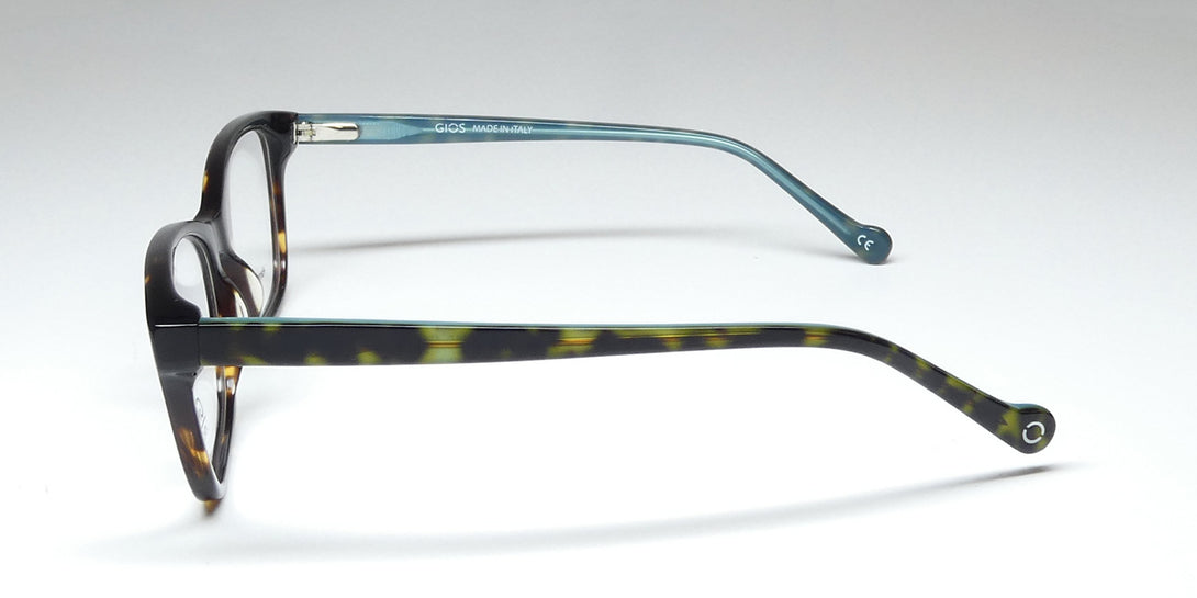 Color_tortoise / teal