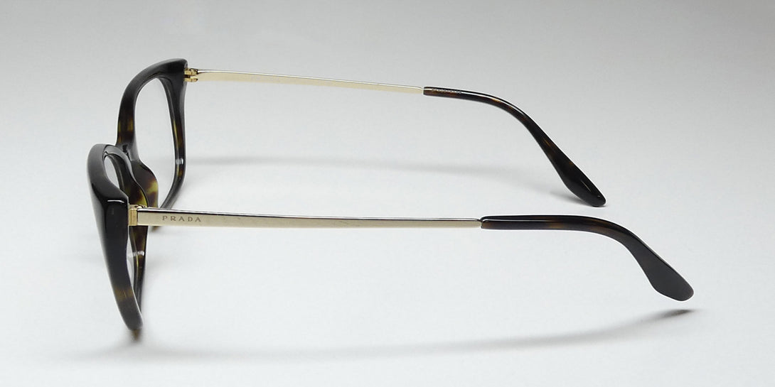 Color_tortoise / gold