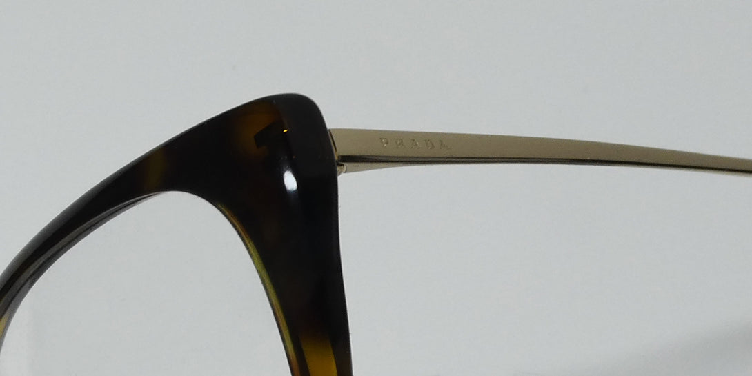 Color_tortoise / gold