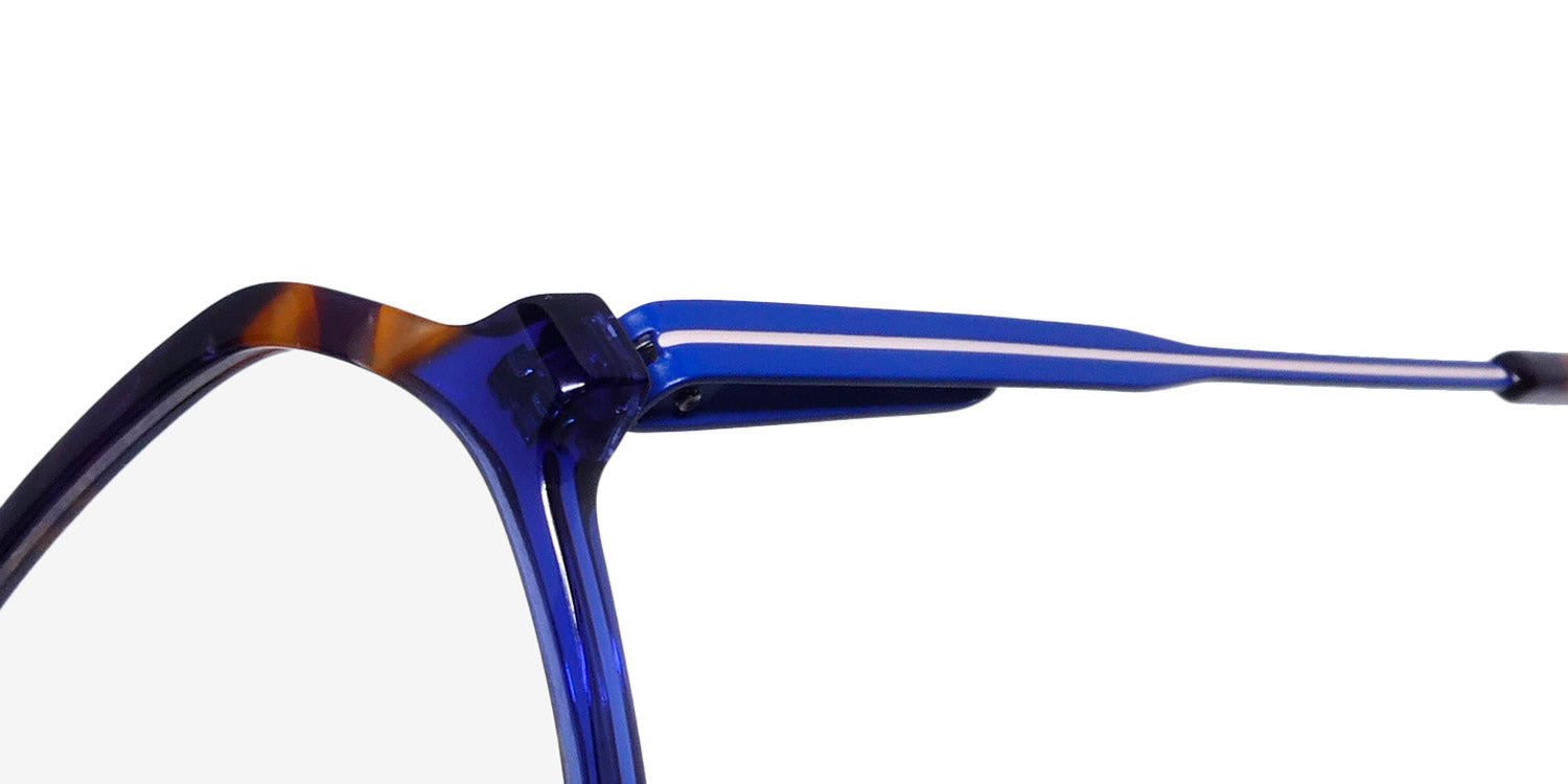 Morel - Nomad 40191n Eyeglasses for Women – ModaFrames