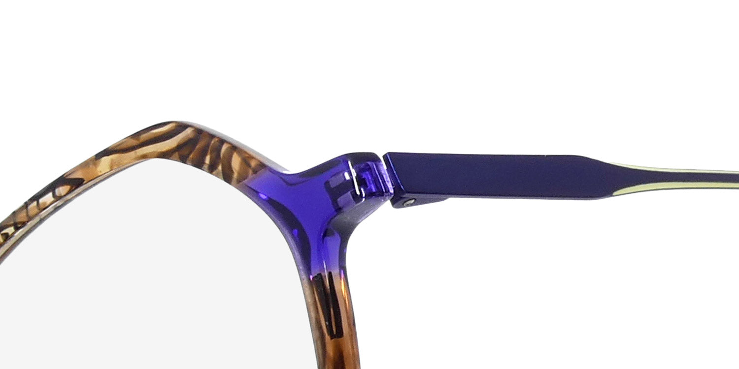Morel - Nomad 40203n Eyeglasses for Women – ModaFrames